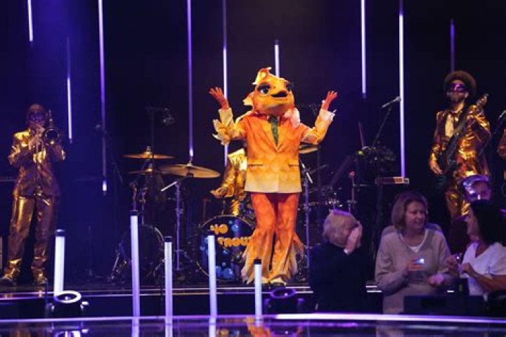 The Masked Singer was interested in Anne Heche prior to crash