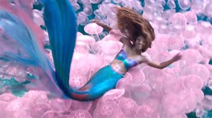 The star of a billion-dollar Disney hit abandons social media after trashing ‘The Little Mermaid’