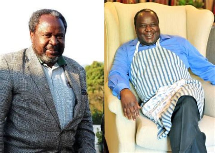 Tito Mboweni Height, Weight, Net Worth, Age, Birthday, Wikipedia, Who, Instagram, Biography