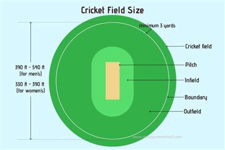 Tyler Conklin height and weight – Measurement in meters, feet, KG and Ibs