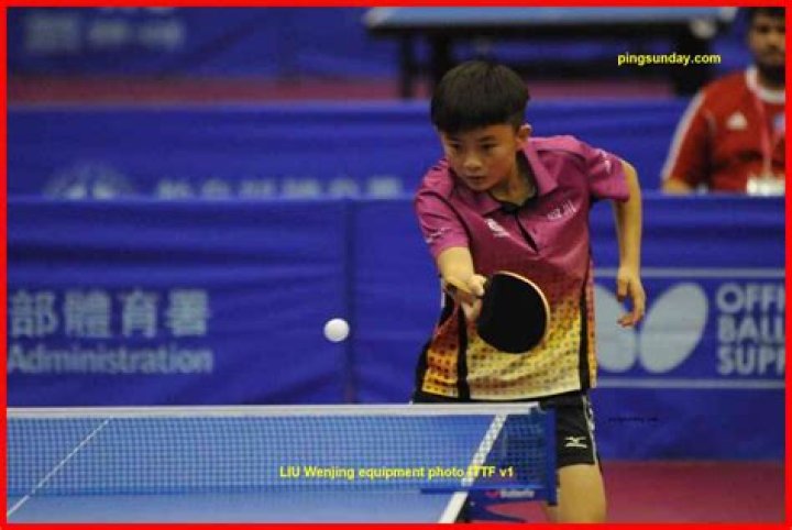 Wenjing Zhang – Farmington, MI