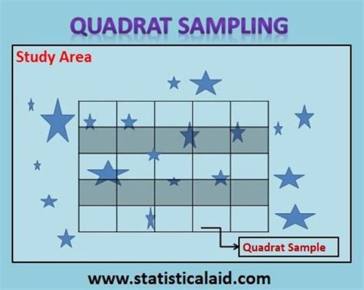 What are the advantages and disadvantages of quadrat sampling