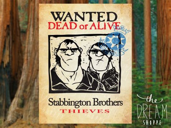 What are the names of the Stabbington Brothers? – Celebrity