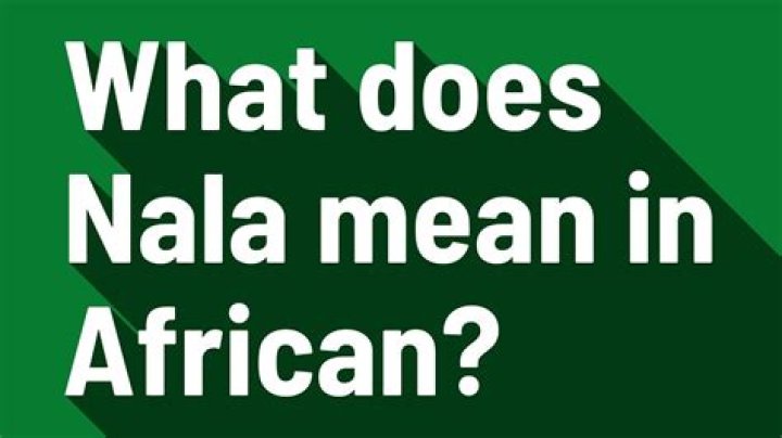 What does Nala mean in African? – Celebrity