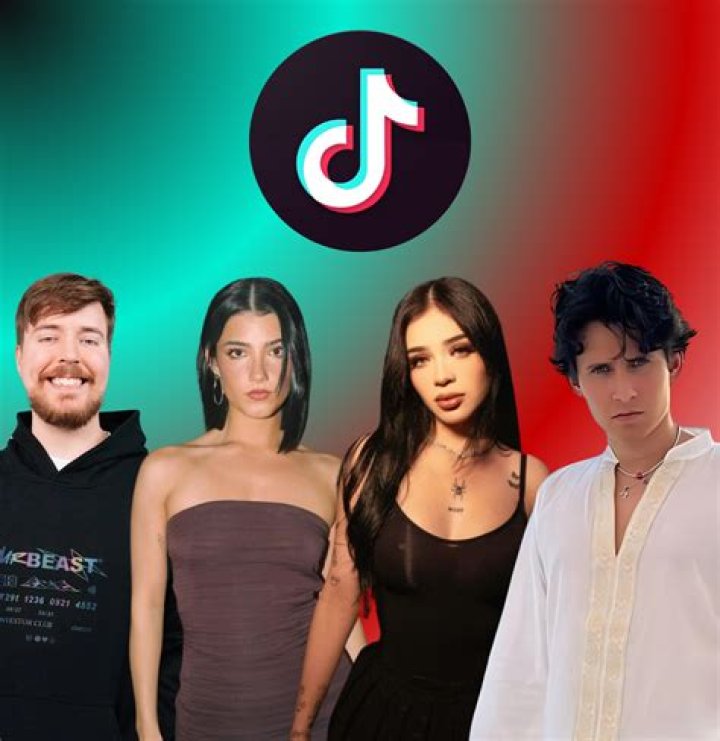 What is Freer.Pro TikTok? Freer Pro Auto Liker from Tik Tok All Information
