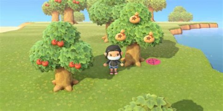 What Is The Rarest Fruit In Animal Crossing: New Horizons? – Celebrity