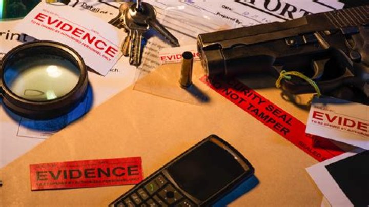 What is the story of the Carol Ryan cold case, the subject of podcasts and documentaries?