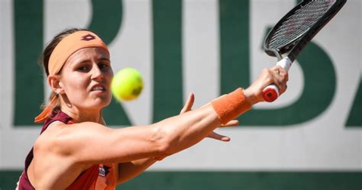 What languages can Greet Minnen speak?