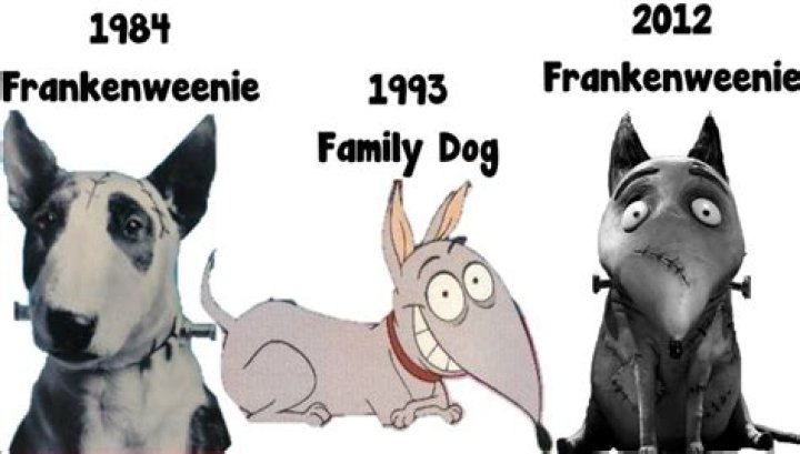 What type of dog is Frankenweenie? – Celebrity