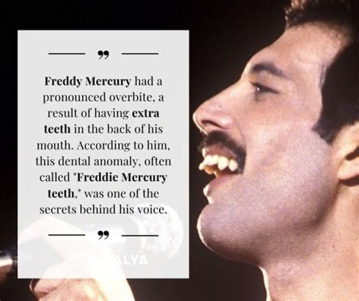 What was in Freddie Mercury’s will? The controversy of the Queen singer’s last wishes, explained