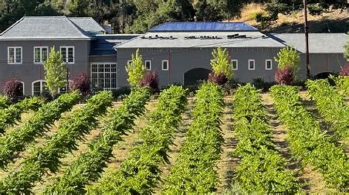 What Winery Makes Belle Radici Wine? – Celebrity