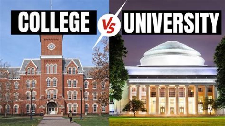 Where did Michael Jonzon go to college and high school?