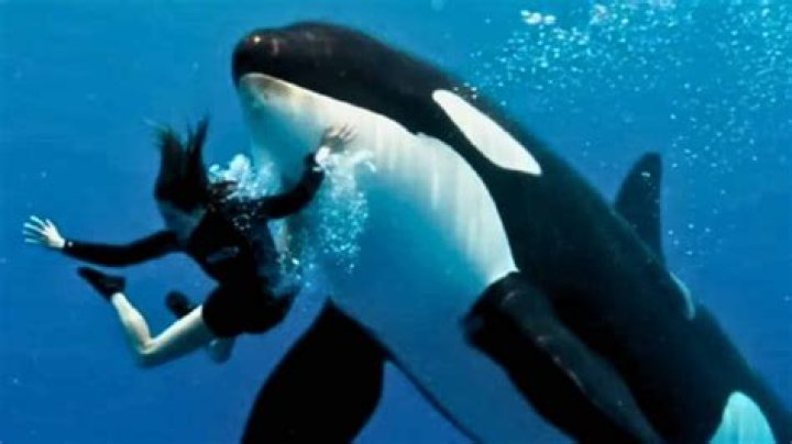 Where Is Dr Jeffrey Marsalis Now? Wikipedia On Jessika Rovell Philadelphia Case Update