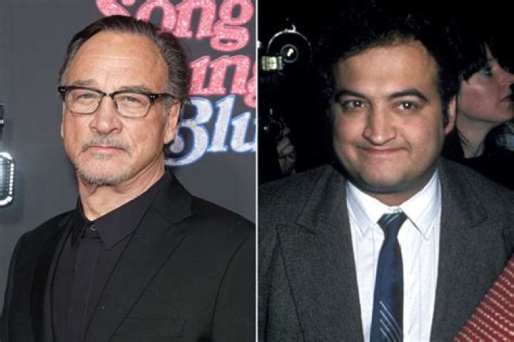 Who is Jim Belushi's brother Billy Belushi and where is he now?